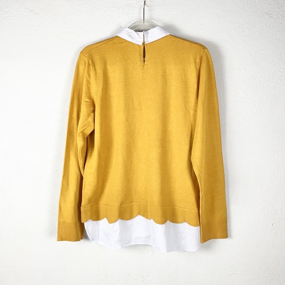CABLE & GAUGE | Scallop Trim Faux Layer Sweater Shirt Top - Picture 2 of 8